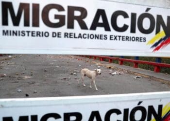 Un perro camina en el lado venezolano del Puente Internacional Francisco de Paula Santander, donde cuelgan carteles de migración en Ureña, Venezuela, el martes 26 de febrero de 2019, visto desde el otro lado del puente en Cúcuta, Colombia, mientras la frontera permanece cerrada.