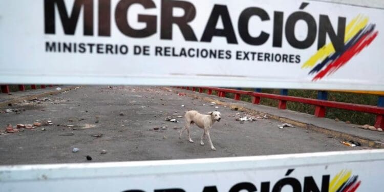 Un perro camina en el lado venezolano del Puente Internacional Francisco de Paula Santander, donde cuelgan carteles de migración en Ureña, Venezuela, el martes 26 de febrero de 2019, visto desde el otro lado del puente en Cúcuta, Colombia, mientras la frontera permanece cerrada.