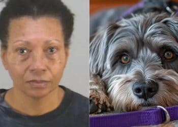 EEUU: Detenida mujer que mató a su perro tras no poder llevarlo en el Aeropuerto de Orlando