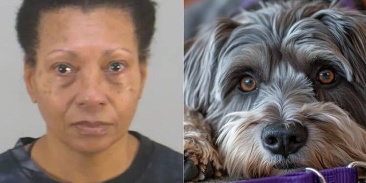 EEUU: Detenida mujer que mató a su perro tras no poder llevarlo en el Aeropuerto de Orlando