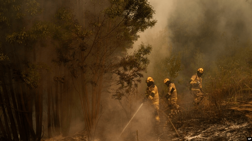 Bomberos intentan controlar los incendios en Santa Juana, Chile, el lunes 6 de febrero del 2023. Los siniestros forestales están afectando el sur y centro de Chile desde hace casi una semana y han causado al menos 26 muertos, según las autoridades.