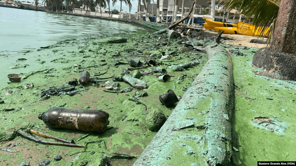 Desechos plásticos recubiertos de petroleo yacen en una orilla también poblada del llamado verdín, en el Lago de Maracaibo, Venezuela, en esta foto tomada el pasado 4 de julio de 2023.