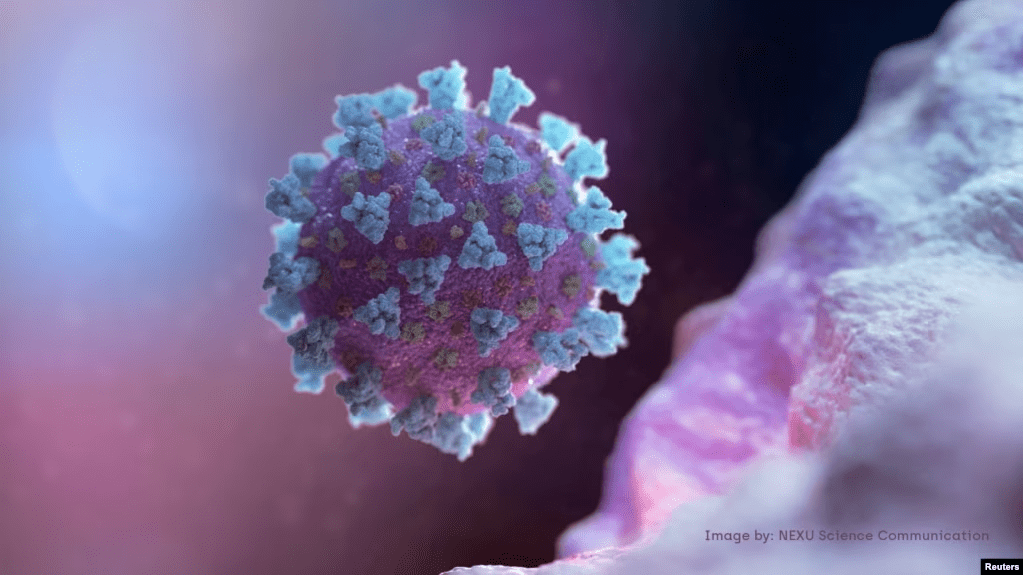 Una imagen computarizada creada por Nexu Science Communication junto con el Trinity College en Dublín muestra un modelo estructural representativo de un betacoronavirus, que es el tipo de virus relacionado con COVID-19.
