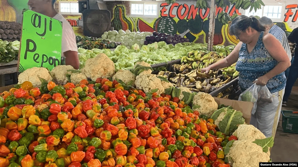 Una cliente escoge sus productos en un mercado de verduras y frutas en Maracaibo, Venezuela, en julio de 2023. La inflación de alimentos y otros bienes y productos en el país suramericano fue de 182,9% entre enero y noviembre de este año.